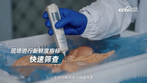 看鑒放心寵糧 探訪鮮朗，以全鏈路透明筑牢寵糧安心底線